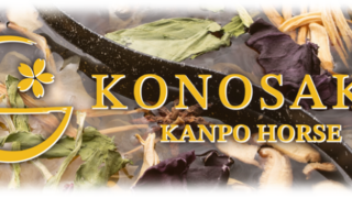 馬しゃぶ薬膳鍋 KONOSAKU 栄店のメインビジュアル