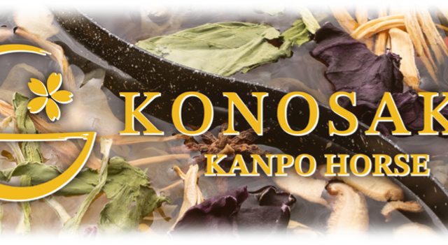 馬しゃぶ薬膳鍋 KONOSAKU 栄店のメインビジュアル