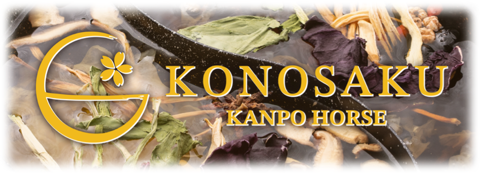 馬しゃぶ薬膳鍋 KONOSAKU 栄店のメインビジュアル
