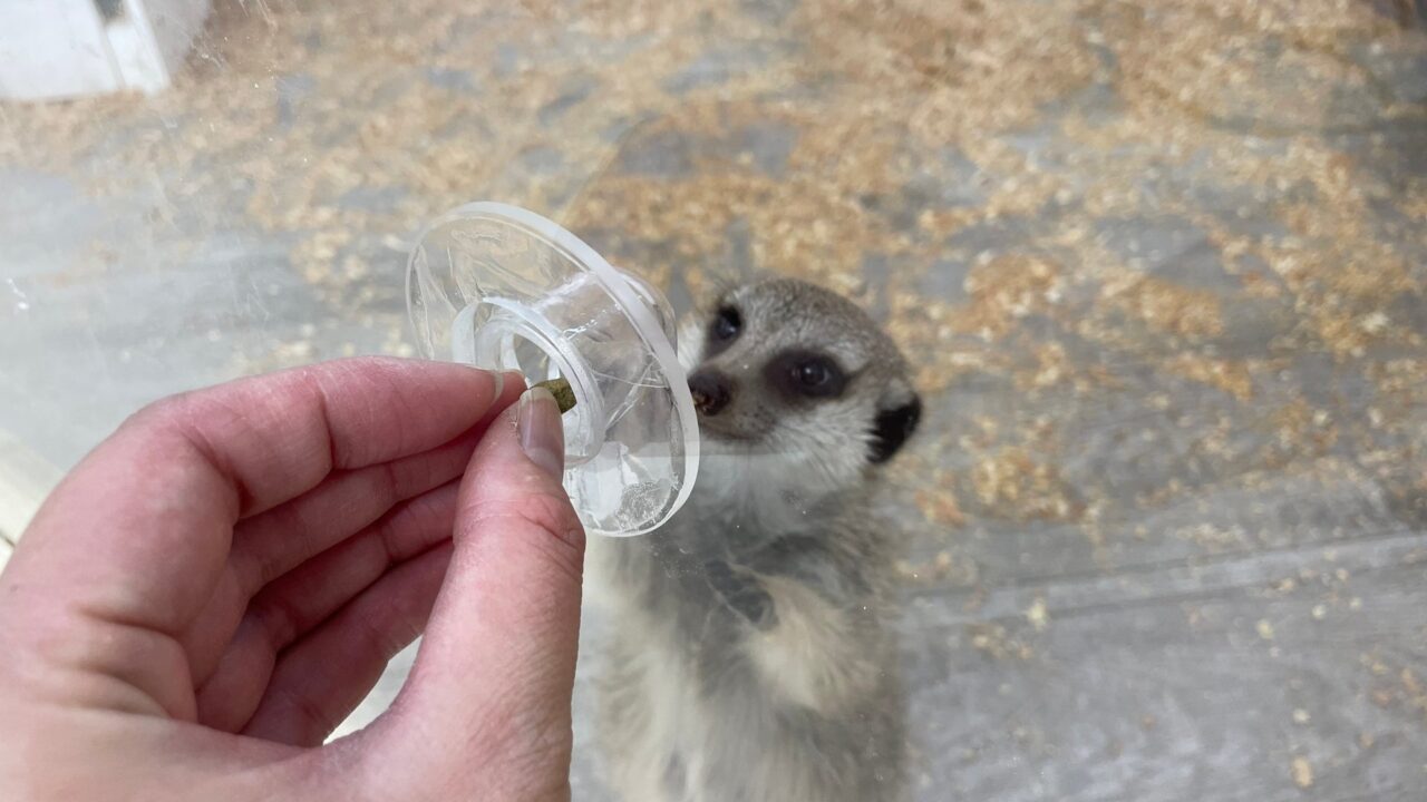 名古屋・愛知の動物園&水族館おすすめ5選 アイキャッチ