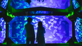 名古屋港水族館 メインビジュアル