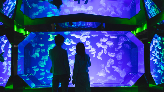 名古屋港水族館 メインビジュアル