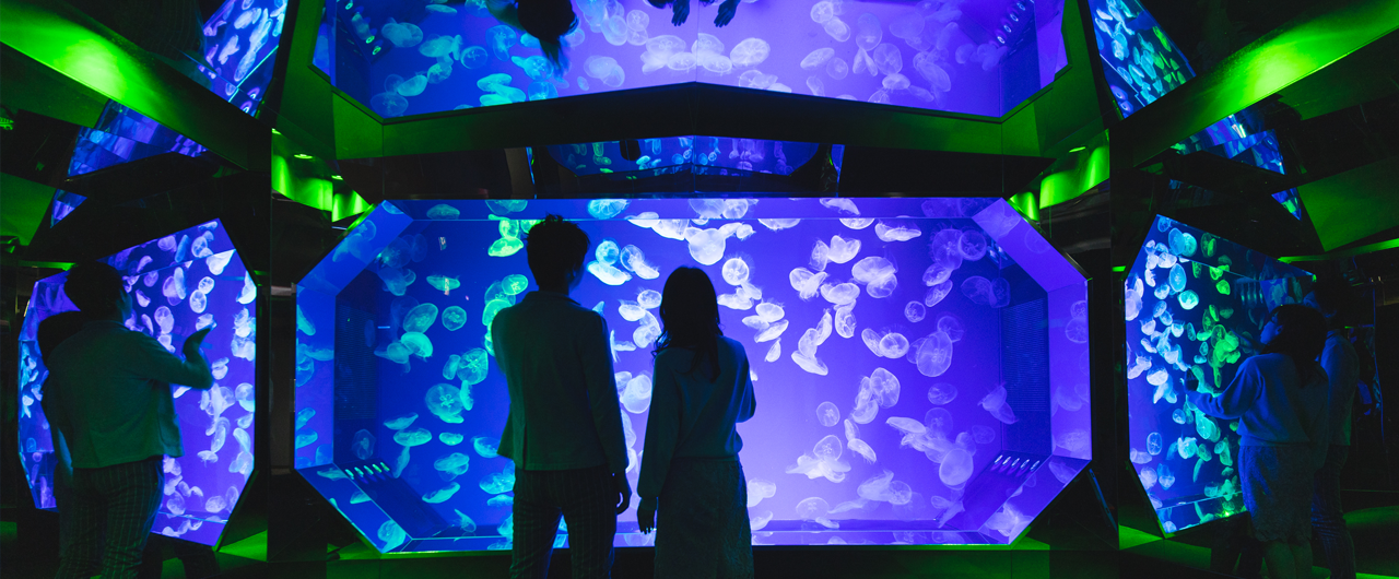 名古屋港水族館 メインビジュアル