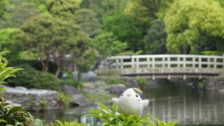白鳥庭園 春浪漫イベント